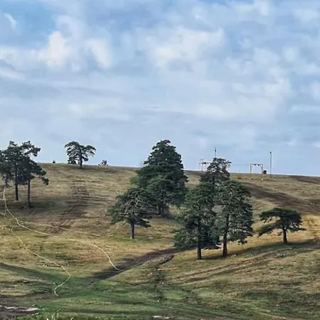 Kalman Ema * Zlatibor