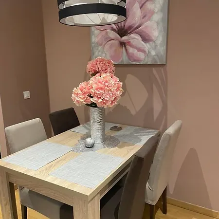 Kalman Ema Apartment Zlatibor